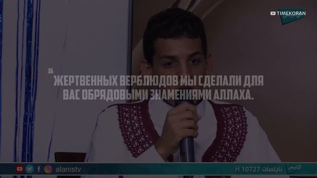 Сура: Аль-Хаджж • Аяты 32-37Чтец: Мухаммад Амин аль-Джазаири