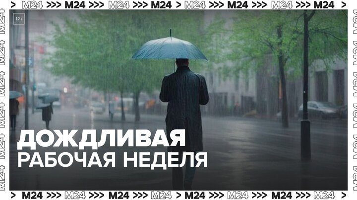 Рабочая неделя в Москве может начаться с дождей - Москва 24