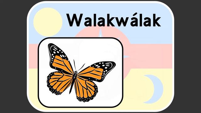 Umatilla - Kákyama - Animals (Insects, Arachnids, and other Small Critters)