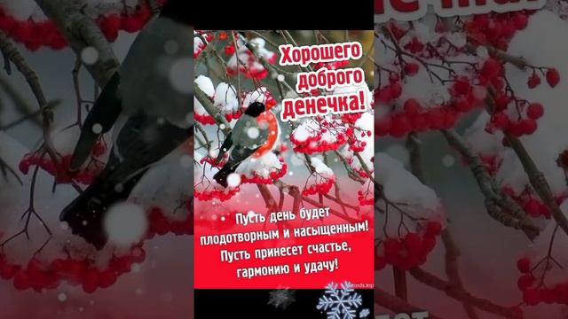❄️ Здравствуй Зима ❄️С Добрым Снежным Утром ☕ Хорошего Чудесного Дня 💕