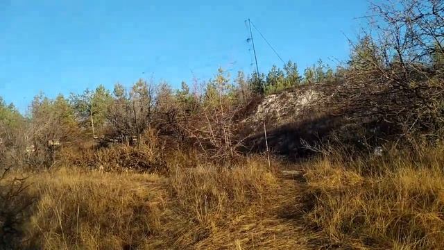 Снегири сделали наш день плодородным ))).mp4