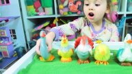Загадки про домашних птиц, учимся с Амирой