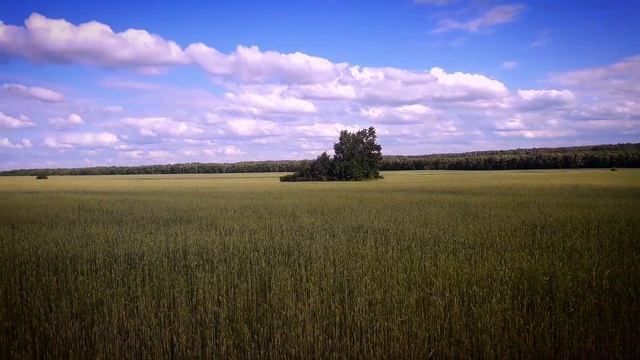 Саратовская область Татищевский район село Б Каменка