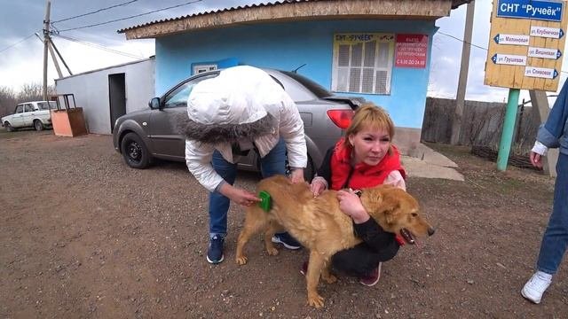 Бейли