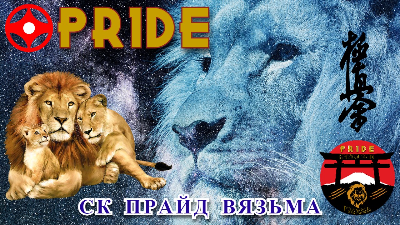 СК КАРАТЭ ПРАЙД ВЯЗЬМА