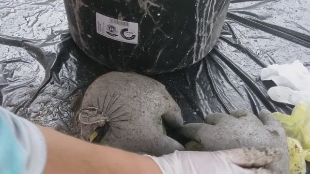 DIY - Betonhand / Hand aus Beton mit Einmalhandschuh gemacht