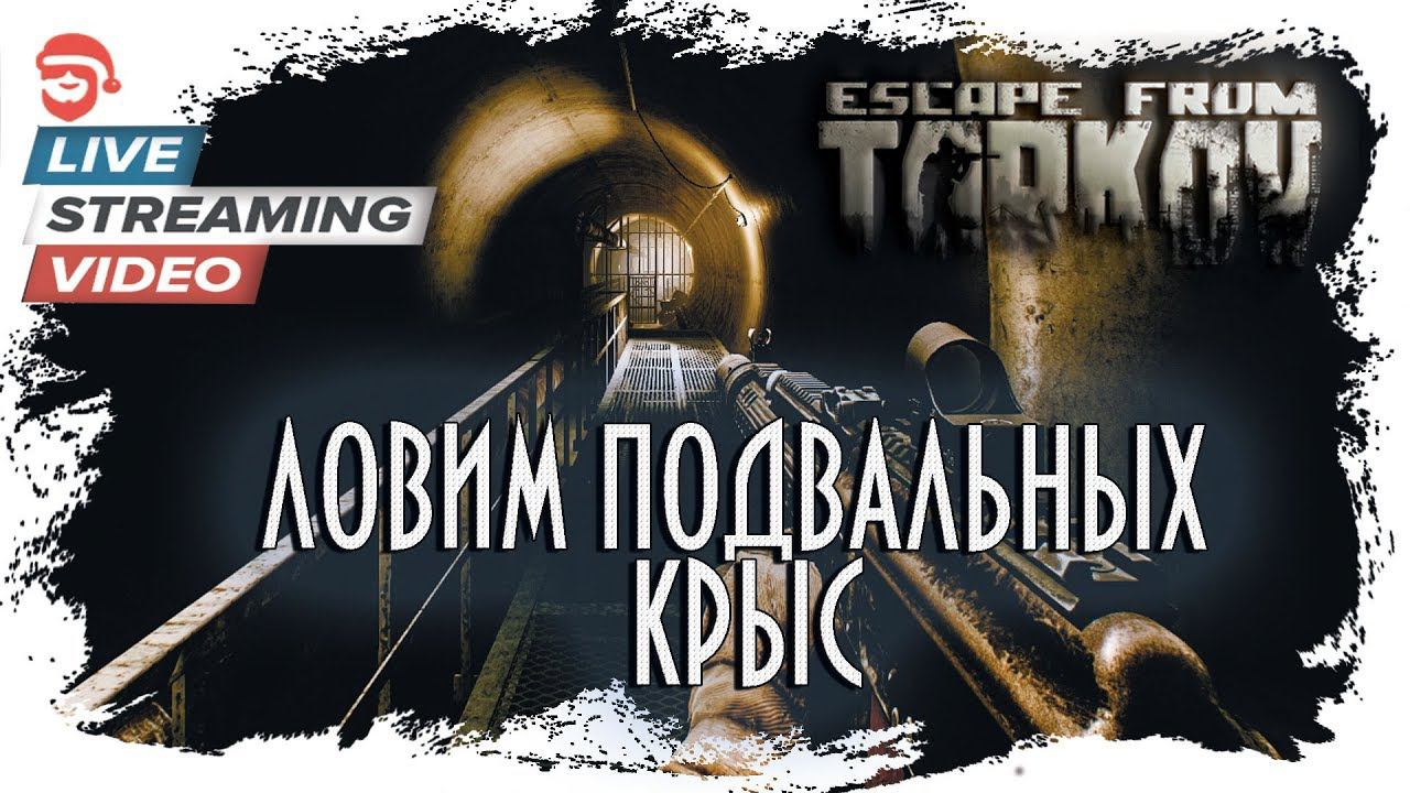 Ловим подвальных крыс [Escape from Tarkov]