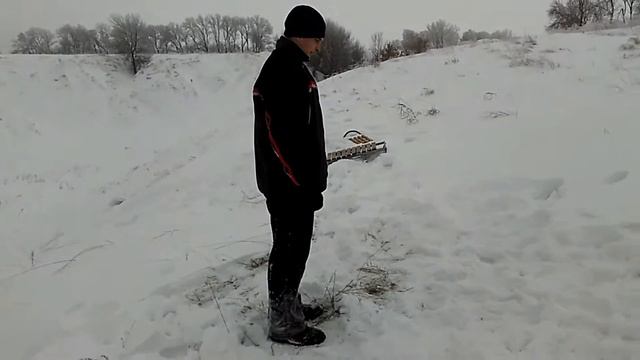 Сальты
