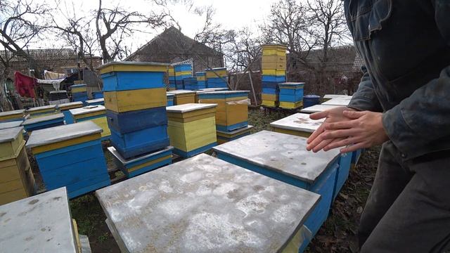 Пчеловодство.Подкормка пчел зимой