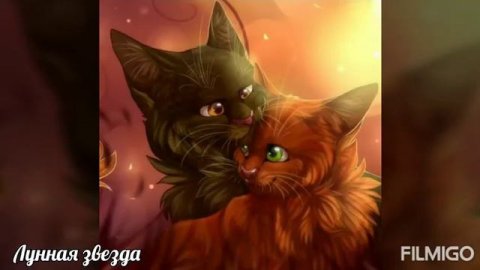 Коты воители-Белка и Ежевика