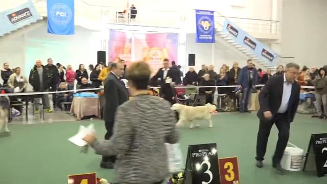 Кубок Запорожья 2016