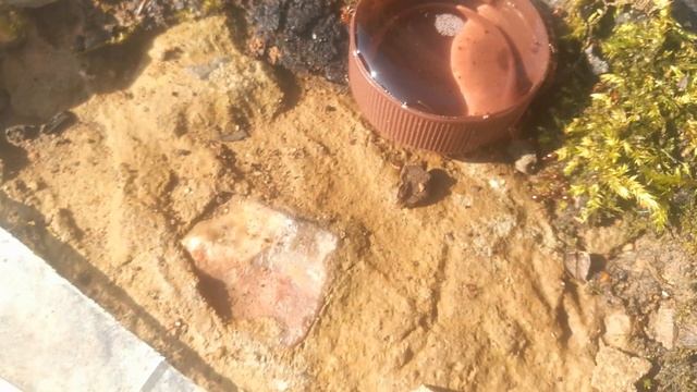 VID_20230819_085542.mp4