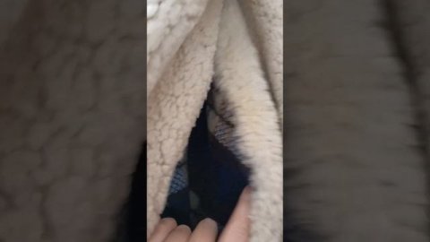 Продаю НОВУЮ мужскую куртку-пальто из меха лямки с овчинным воротником