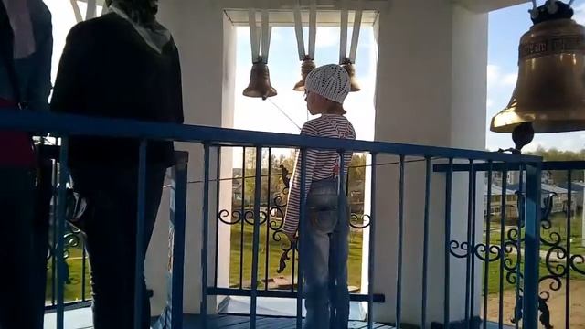 Новоселицы