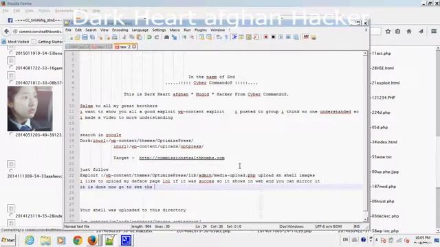 wp content exploit