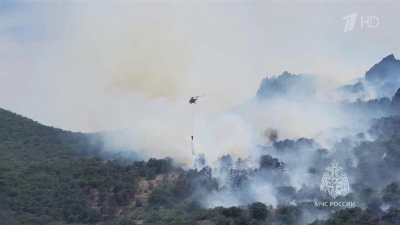 Десятки спасателей и авиация борются с огнем на территории заповедника "Карадагский"