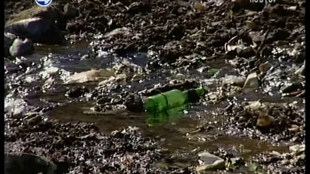 Про Городской пруд.