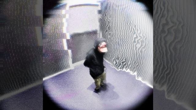 я посмотрел ей в глаза