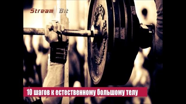 Культуризм ЛИКБЕЗ | Боб Лефави- 10 шагов к естественному большому телу