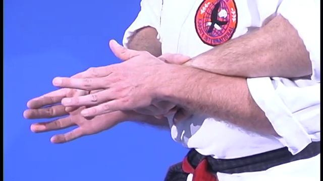 George Dillman Seminar 5