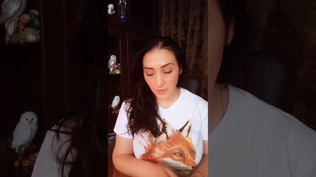 ВРАЖИНА НЕ ДРЕМЛЕТ