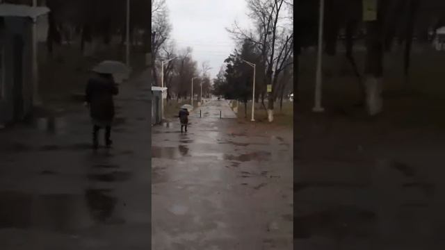 красивое чтение коранакоран mma мматоп мма grappling mmatraining панкратион дети ахмад