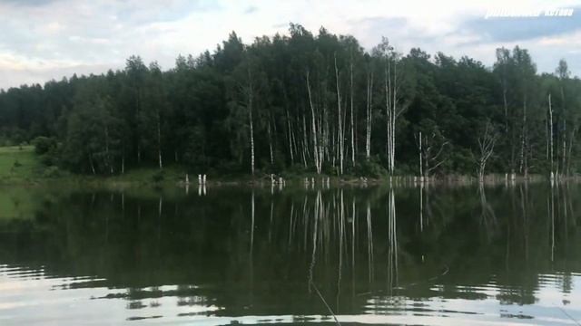 Ловля карася с ночевкой. КРУПНЫЕ КАРАСИ НЕ ДАЮТ СПАТЬ.