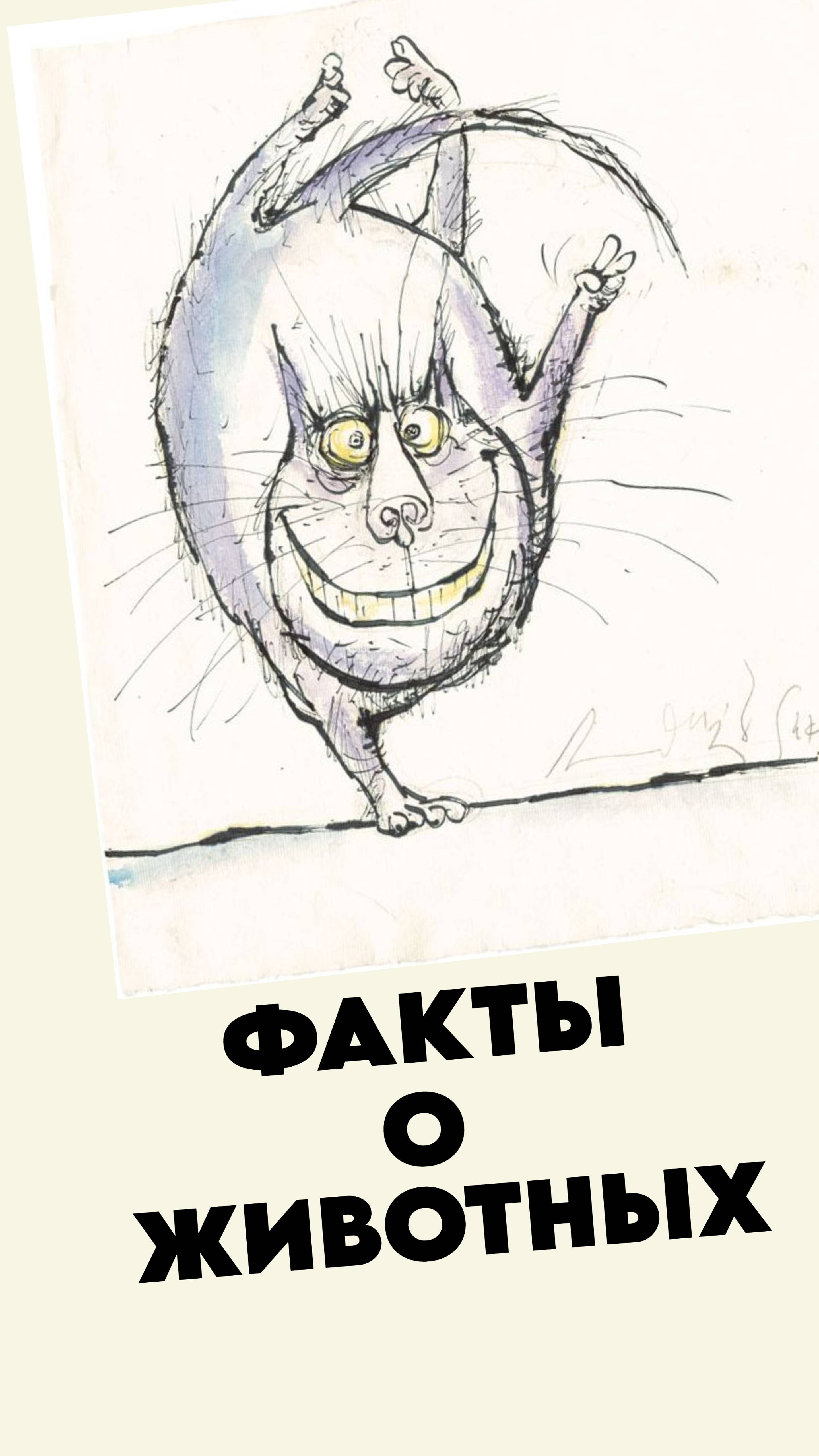 Грустные факты о животных 1