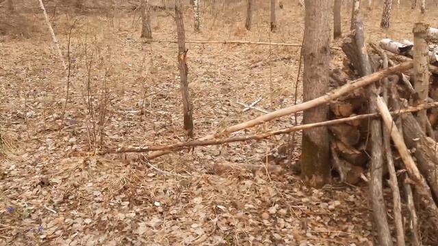 Большой пожар идет к избе !!!