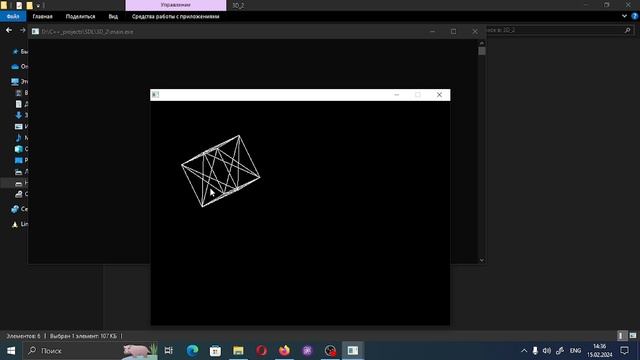 C 3D