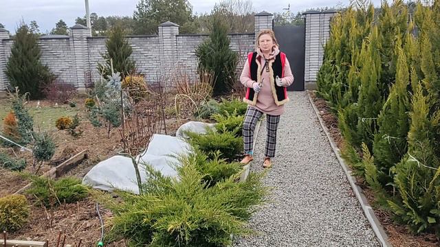 ПОЛУЧИЛА КОРНИ ПИОНОВ ЗИМОЙ...ЧТО ДЕЛАТЬ? | Как сохранить пионы до посадки весной