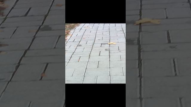 5прогулка