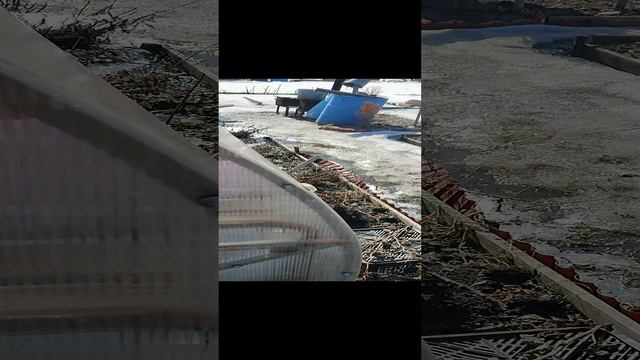 VID_20230326_115853.mp4