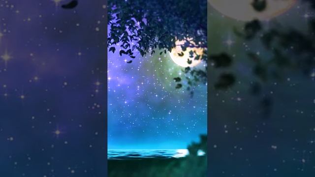 VID_20230625_121255_439.mp4