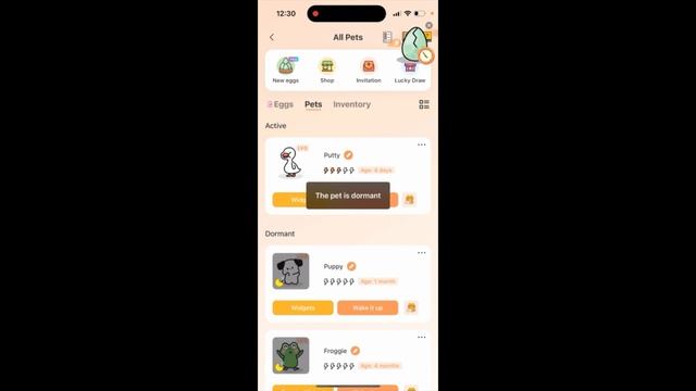 How to make your pets active or inactive in Widgetable app?