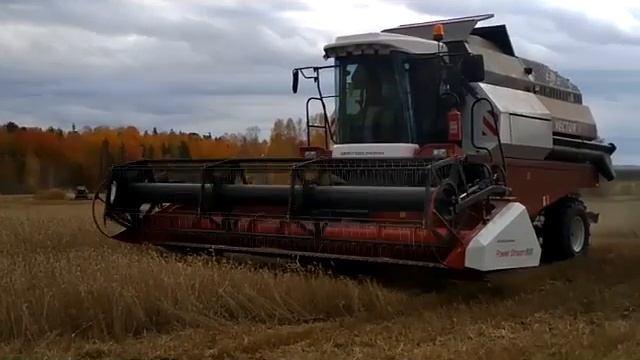 В Ачинском районе близится к завершению уборочная кампания 2019
