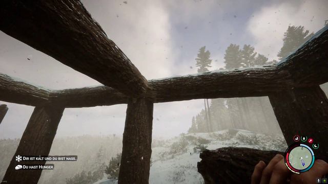 Sons of the Forest- Es ist Winter! 16# [1080p]