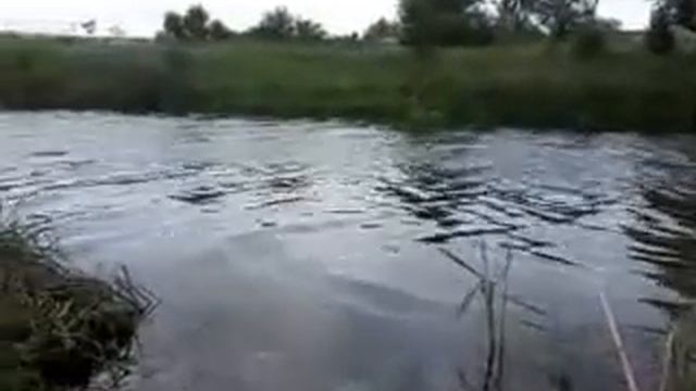 рыбаки на речке