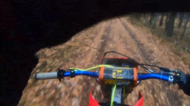 GR2 CRF XR GR BRZ ТЁМА ВЕТКИ