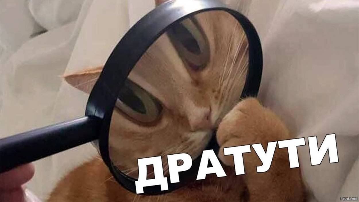 общаюсь с подписчиками +