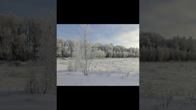 Новгородская область   Старая Русса ❄️❄️❄️