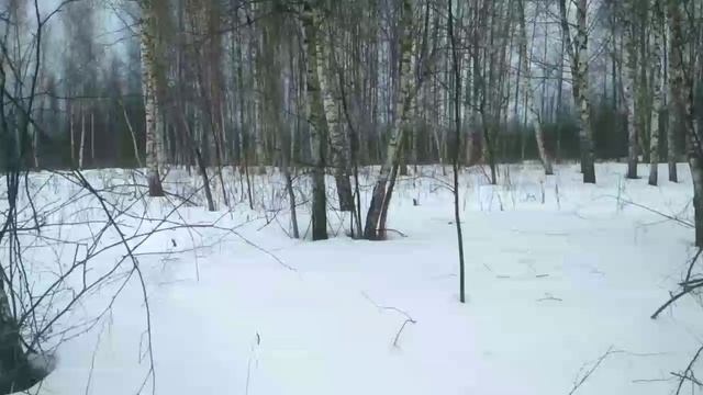 100кг за пару часов,а потом что?