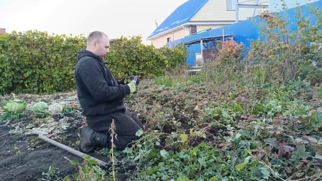 Переезд в Россию/Боюсь планов мужа,мы расширяемся/Сажаем клубнику с помощью СВЕТЛИЦА ГРУНТ/Сабантуй