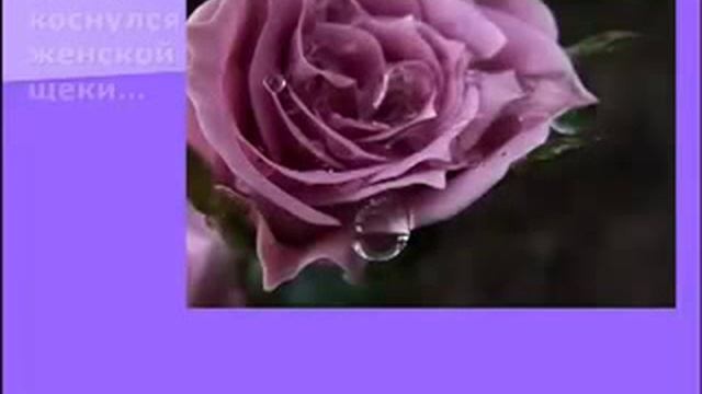 Мамы с вашим днём