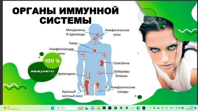 Неизвестные факты про иммунитет__День здоровья 21.10.23