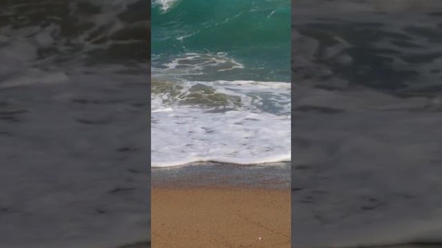Музыка для сна ☘️ Кокосовый рай ☘️ Природа ☘️ Релакс ☘️ Пляж