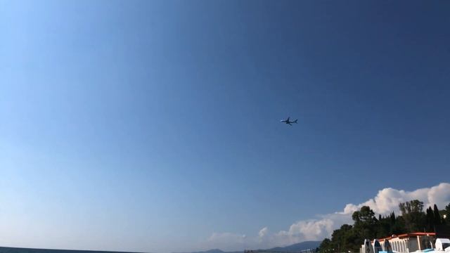 Адлер 2020