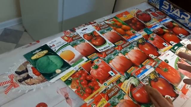 Когда сеять ПЕРЕЦ и ТОМАТЫ НА РАССАДУ?ТОЧНЫЕ СРОКИ ПОСЕВА ПЕРЦА