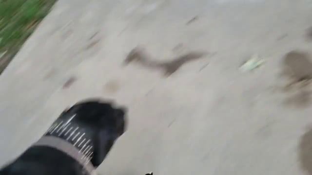 C5T Ranch Dog Obedience 2018 session 6 3rd week