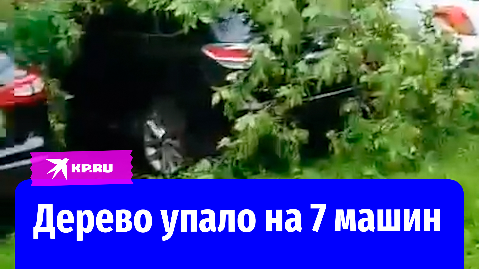 В Москве во время урагана одно дерево повредило 7 машин